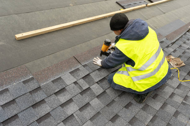 Best Roof Gutter Cleaning  in Park Layne, OH