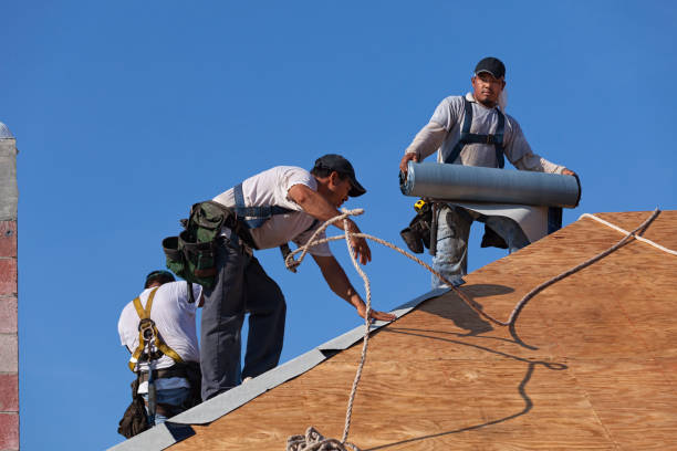 Best Gutter Installation and Roofing  in Park Layne, OH