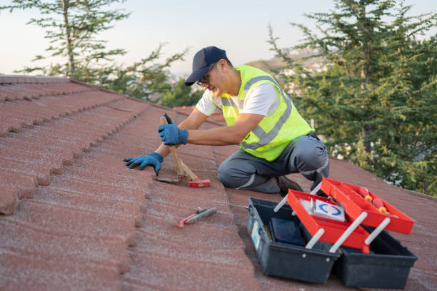 Roof Gutter Cleaning in Park Layne, OH
