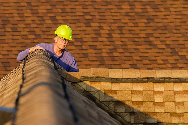 Best Metal Roofing Contractor  in Park Layne, OH