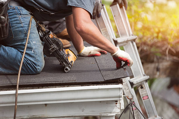 Best Storm Damage Roof Repair  in Park Layne, OH